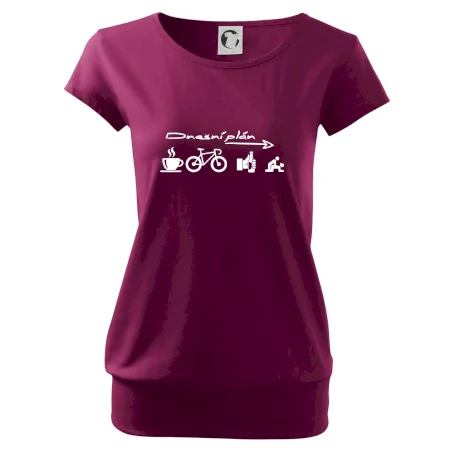 Dnešní plán