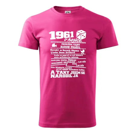 1961 v kostce