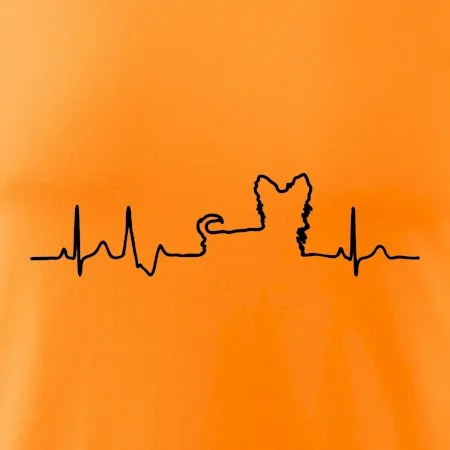 Jorkšírský teriér EKG