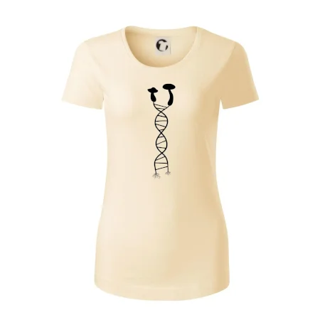 DNA houby