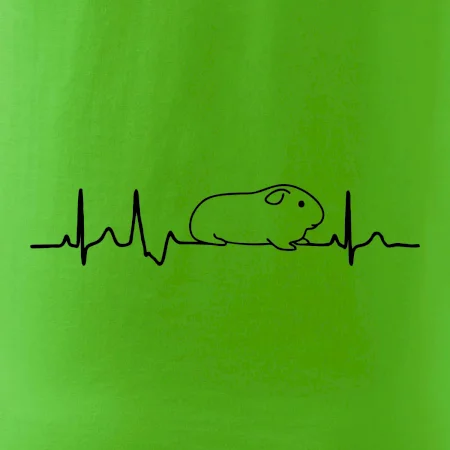 EKG morče