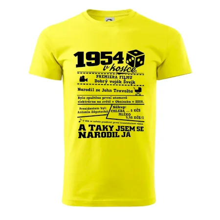 1954 v kostce