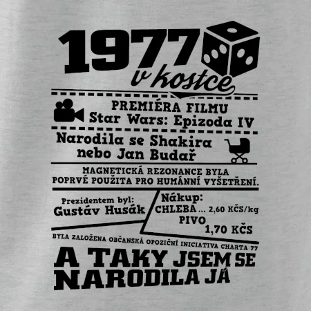 1977 v kostce
