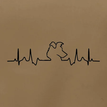 Border kolie EKG