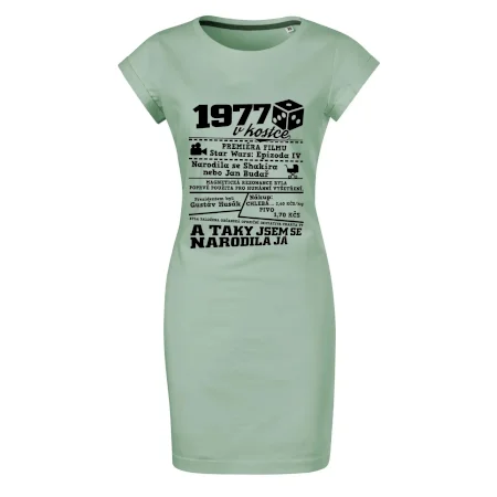 1977 v kostce
