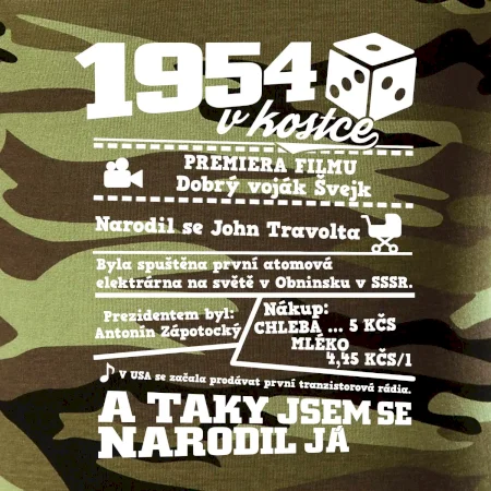 1954 v kostce