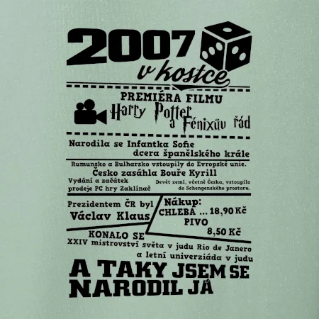 2007 v kostce