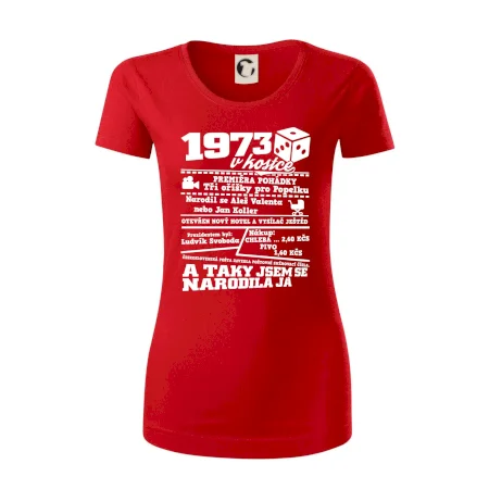 1973 v kostce