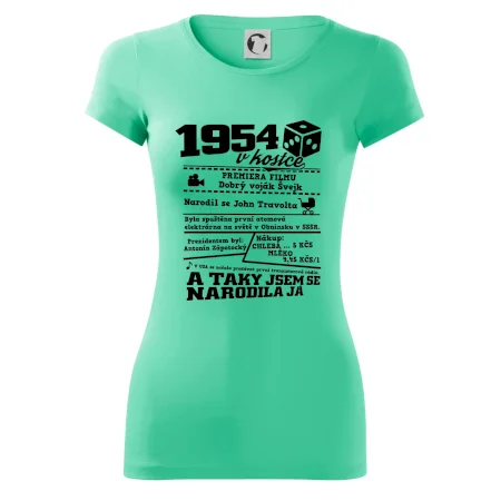 1954 v kostce