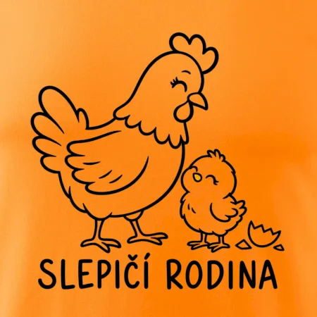Slepičí rodina s kuřátkem