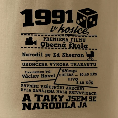 1991 v kostce