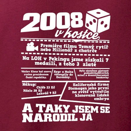 2008 v kostce