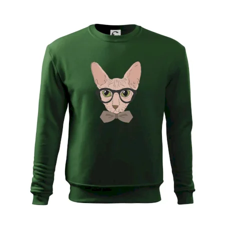 Hipster sphynx