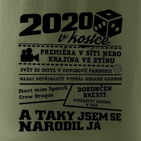 2020 v kostce