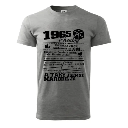 1965 v kostce