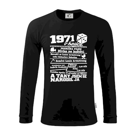 1971 v kostce