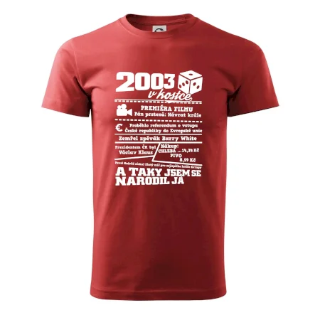 2003 v kostce
