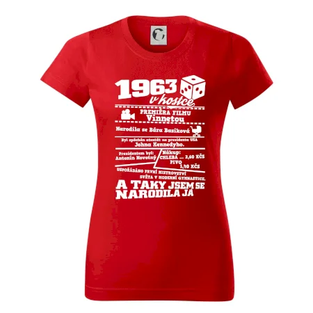 1963 v kostce