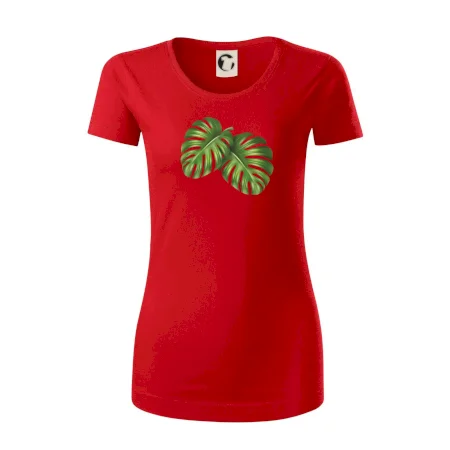 Monstera - dva listy