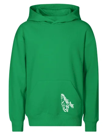 Kůň běžící