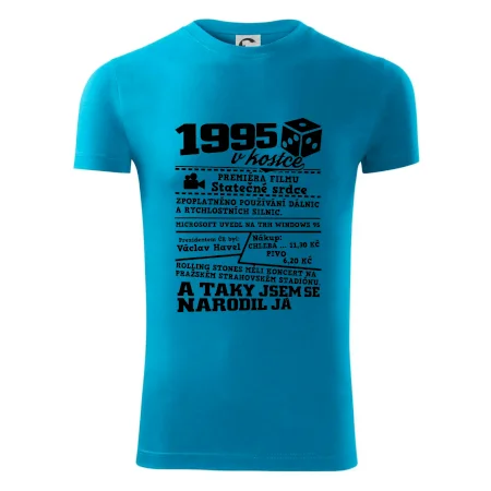 1995 v kostce