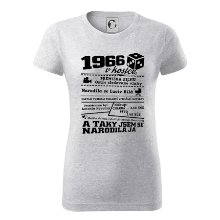 1966 v kostce
