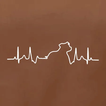 Stafordšírsky bulteriér EKG