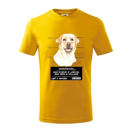 Lump a darebák labrador