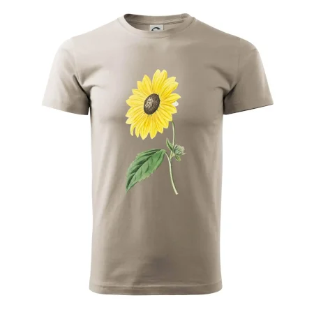Slunečnice otočená