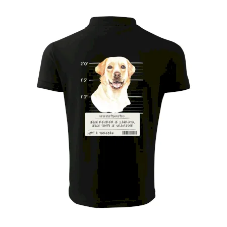Lump a darebák labrador