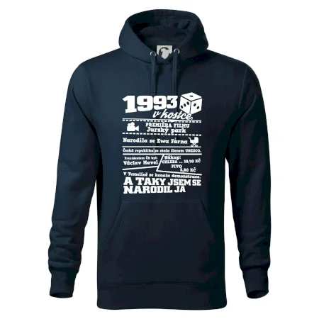 1993 v kostce