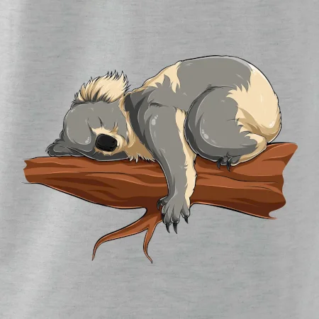 Koala na větvi