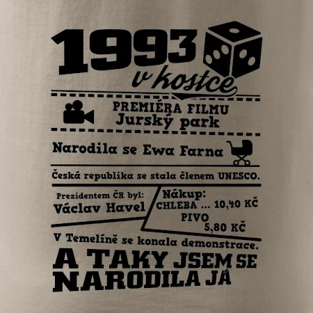 1993 v kostce