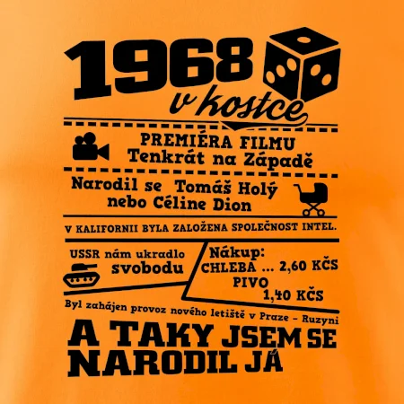 1968 v kostce