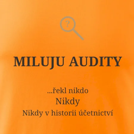 Miluju audity řekl nikdo nikdy