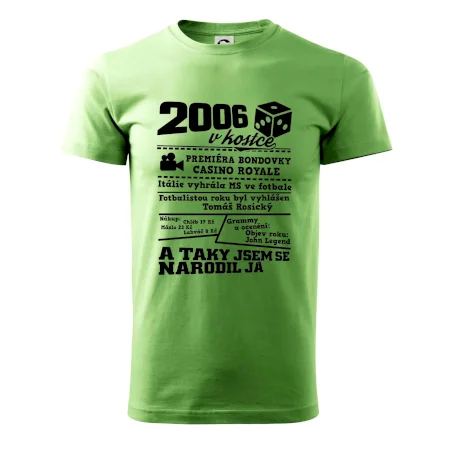 2006 v kostce
