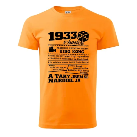 1933 v kostce