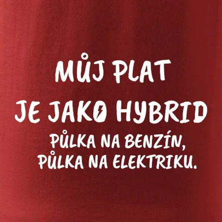 Můj plat jako hybrid
