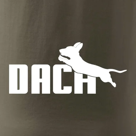 Jezevčík Dach