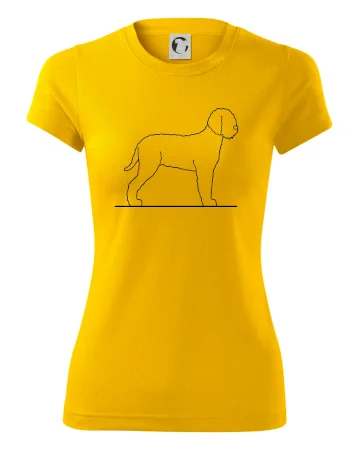 Lagotto romagnolo stojící