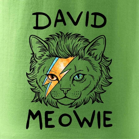 David Meowie