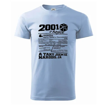 2001 v kostce