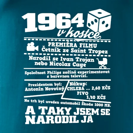 1964 v kostce