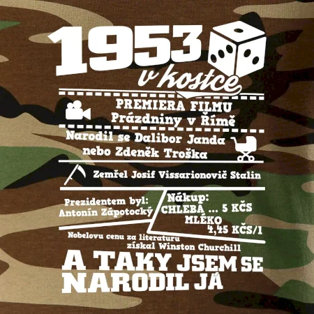 1953 v kostce