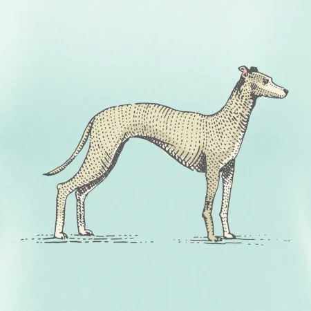 Vintage Whippet