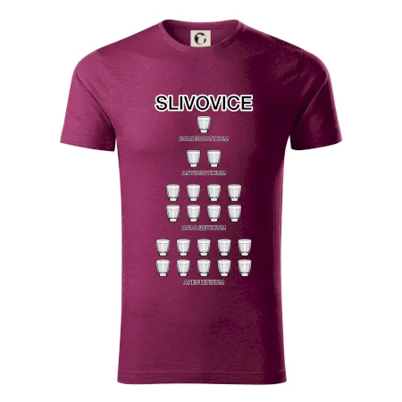 Slivovice počítání (Hana-creative)