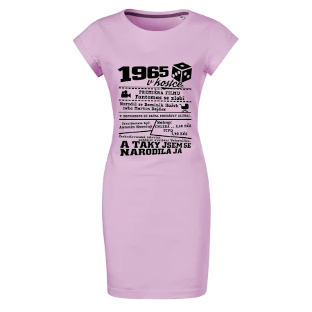 1965 v kostce