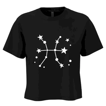 Souhvězdí - Pisces - Ryby