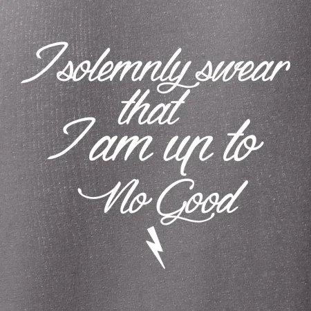I solemnly swear that I'm up to no good