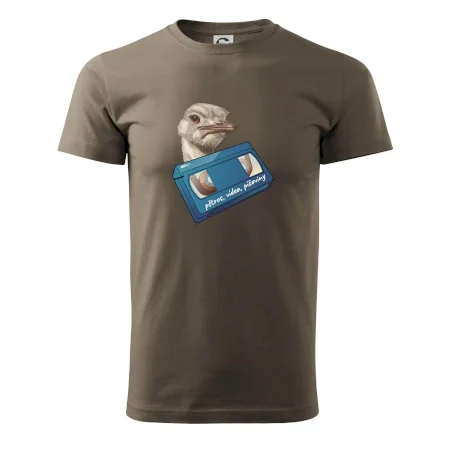 Pštrosi vídea